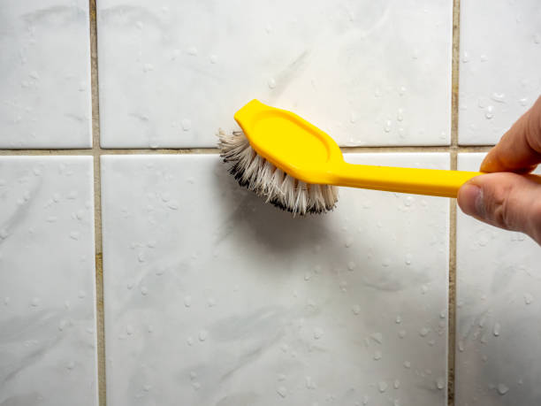 Best Office Mold Removal Services  in William Paterson University Of New Jersey, NJ