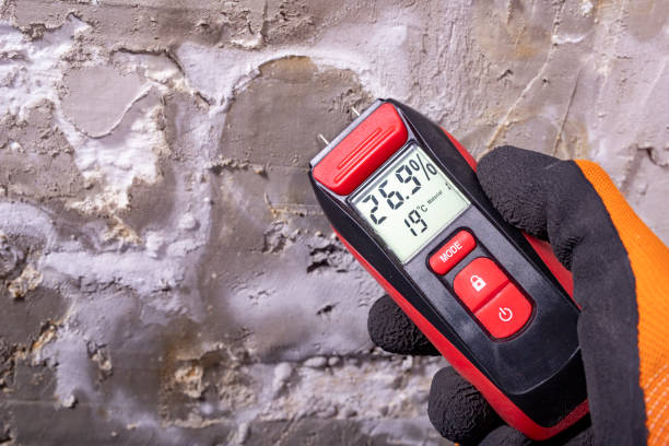 Best Emergency Mold Removal  in William Paterson University Of New Jersey, NJ