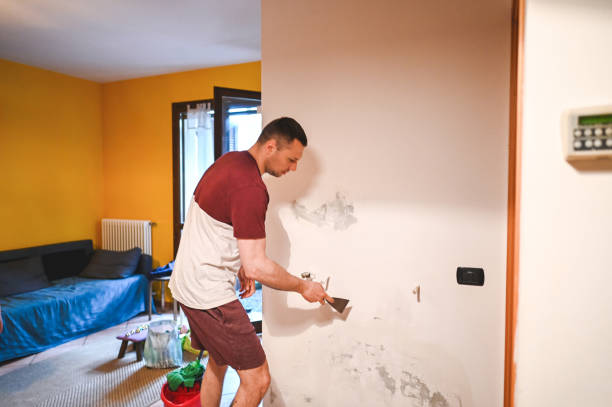 Best Home Mold Removal  in William Paterson University Of New Jersey, NJ